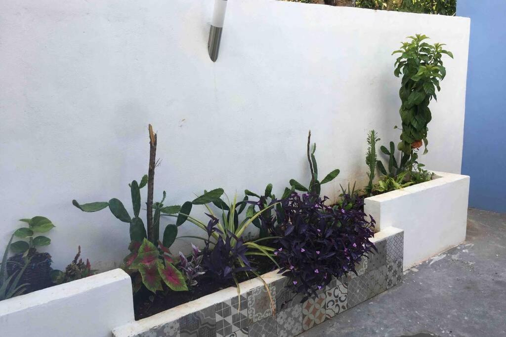 Apartamento Departamento en “Casa Livia”, piscina y jardín. *