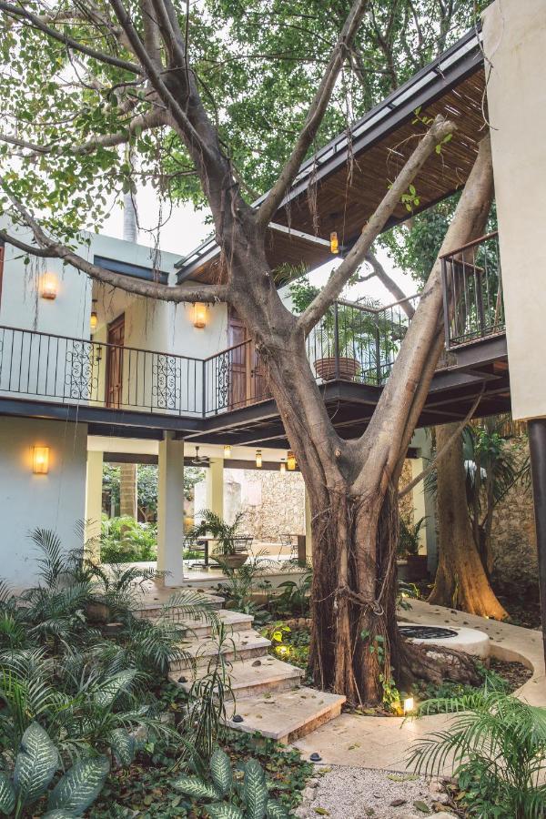 Treehouse Boutique Hotel, An Adults Only Boutique Hotel Mérida