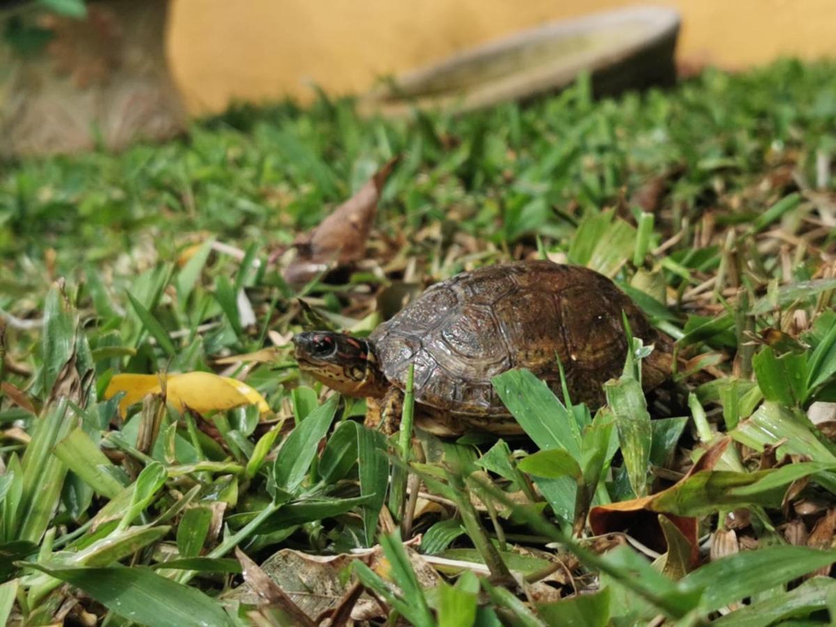 Casa Balfré Сasa de vacaciones Mérida