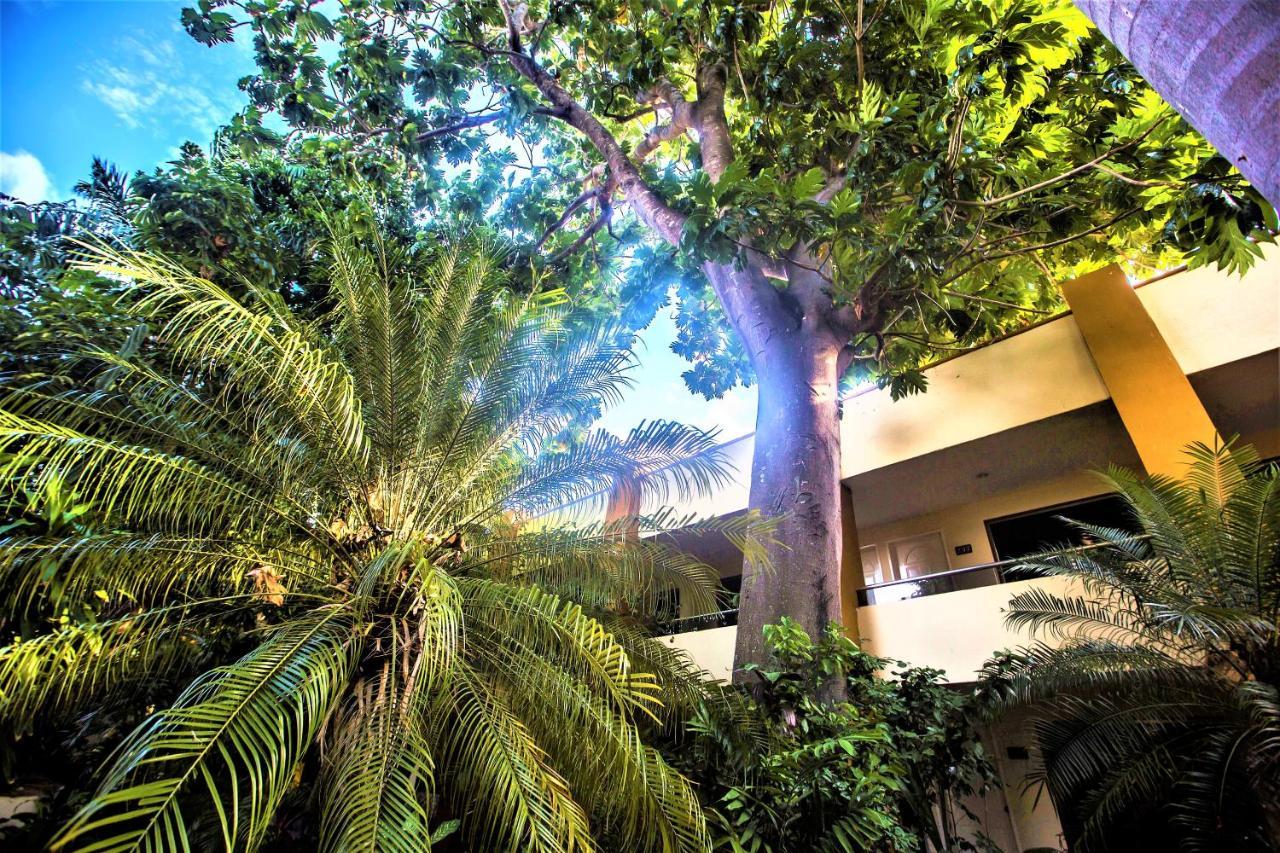 Plaza Mirador Mérida