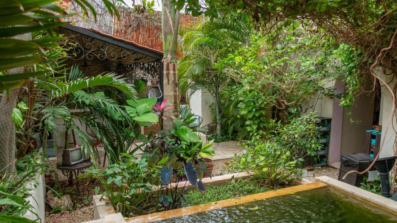 Bed and breakfast Kuka Y Naranjo 2*