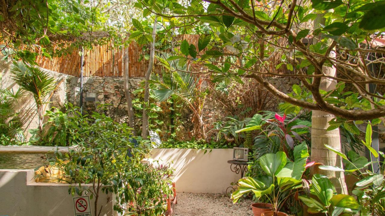 Kuka Y Naranjo Bed and breakfast