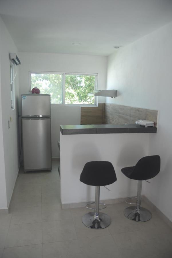 Departamentos Internazionale Apartment