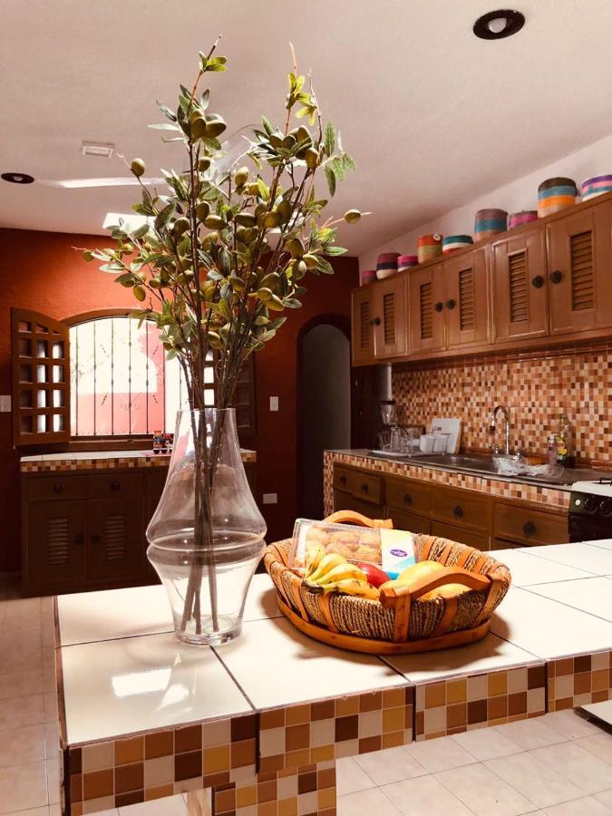Villa Bugambilia Colonial Charm With Spacious Design And Private Pool Five Minutes From Downtown