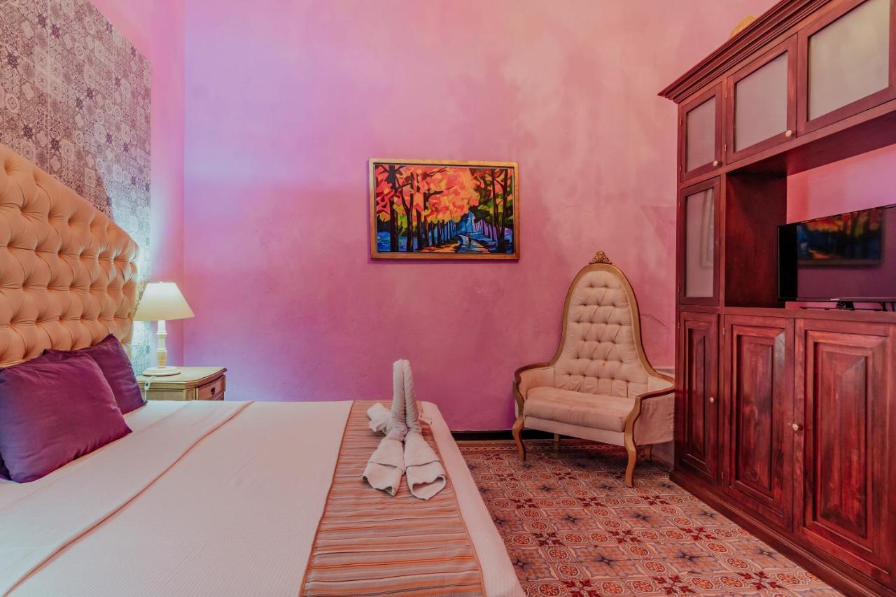 Hotel Lavanda Cas