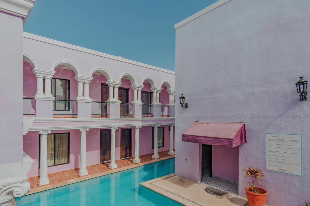 Hotel Lavanda Cas