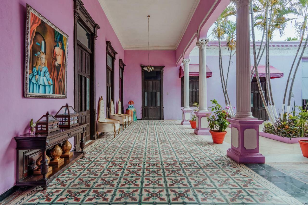 Hotel Lavanda Cas