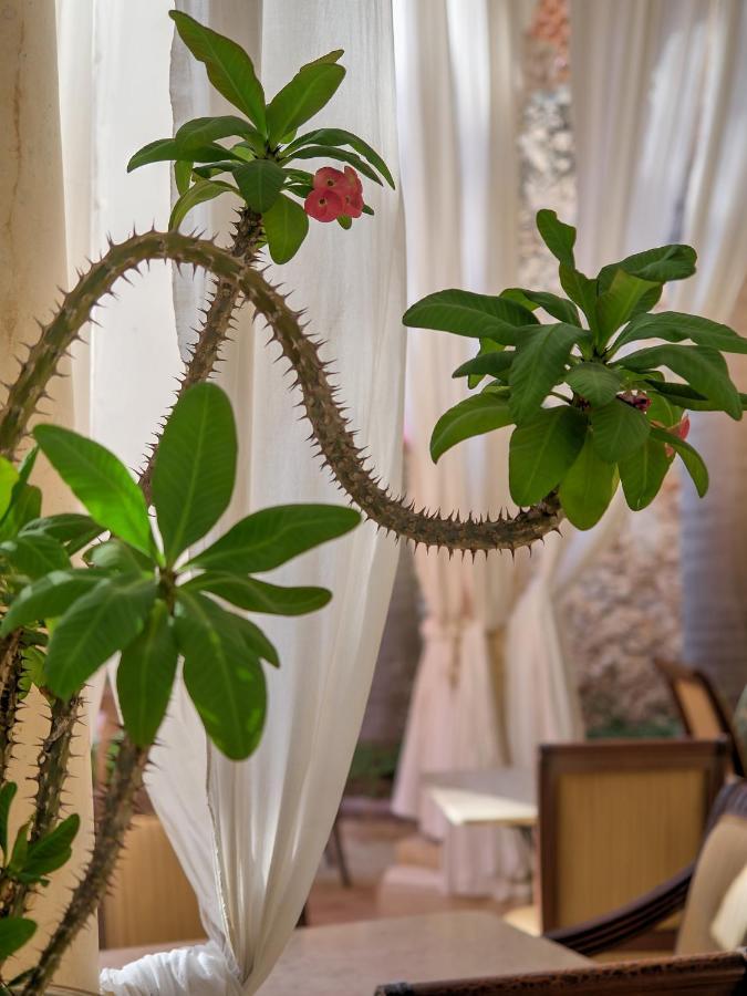 El Palacito Secreto Luxury Boutique Hotel&spa Hotel