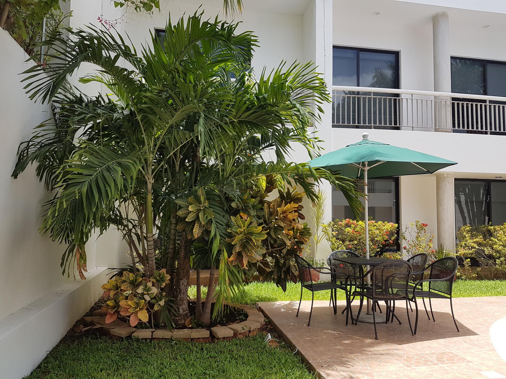 Holly Hotel