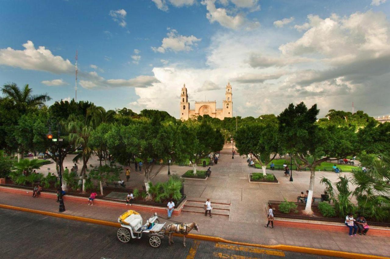 Apartment Excellent On The Altaomic Floor And Equipped A C, Wifi, Tv *