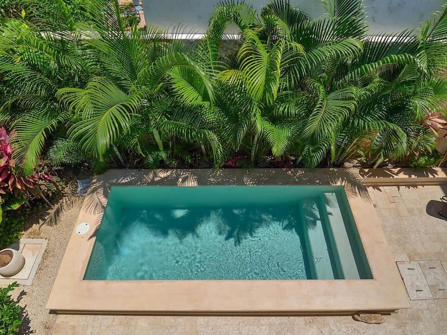 Luxury Casa Lourdes In Merida, Centro * Mérida