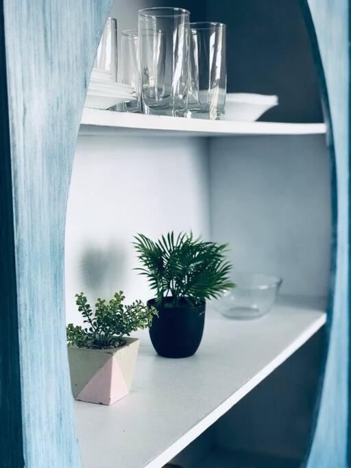 Rachel's -casa Cayetana, Paseo Montejo Apartamento Mérida