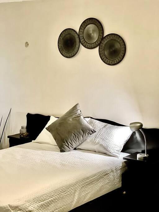 Apartamento Elizabeth I Paseo Montejo Con Piscina *
