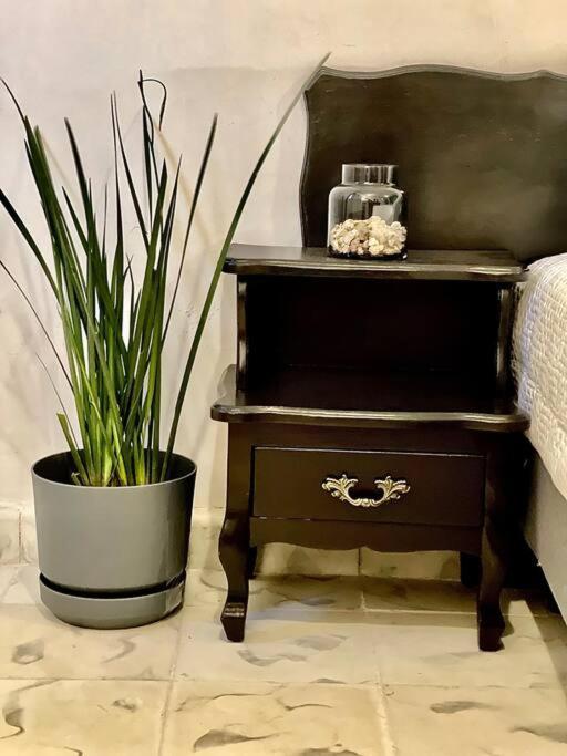 Apartamento Elizabeth I Paseo Montejo Con Piscina Mérida