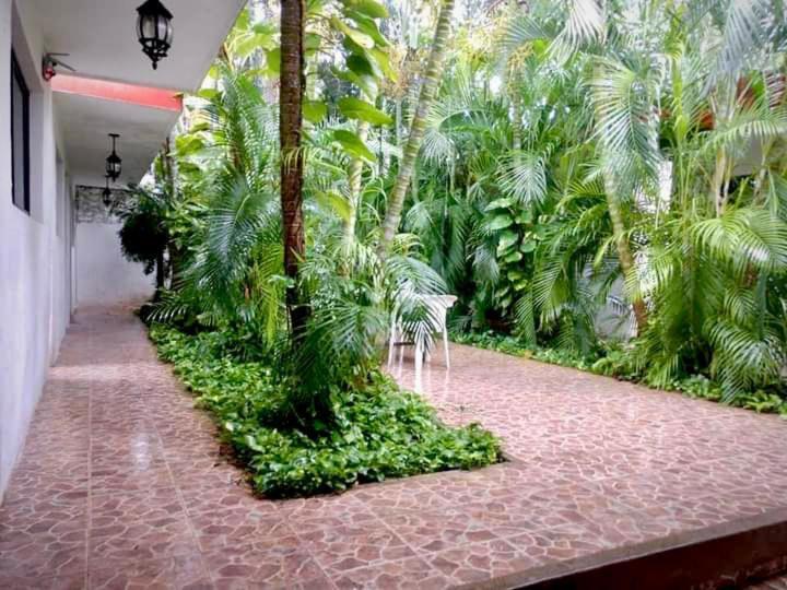 Apartment Punto Checo *