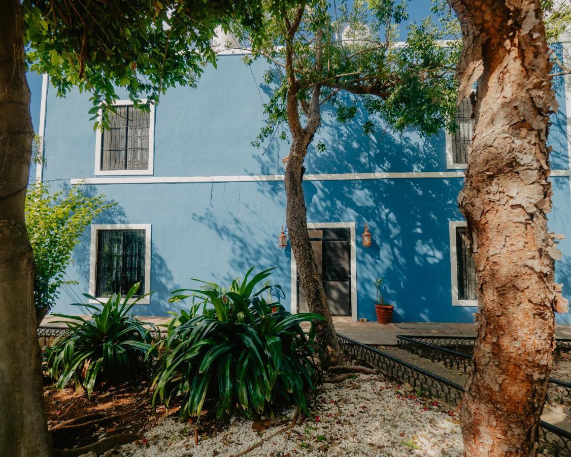 Nido Colibri - Private And Dorms In Remate De Paseo Montejo Hotel