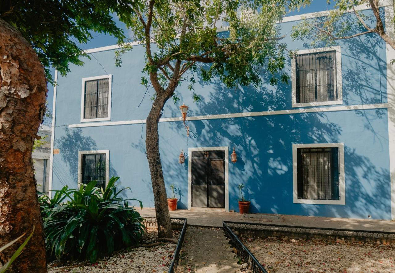 Nido Colibri - Private And Dorms In Remate De Paseo Montejo Hotel