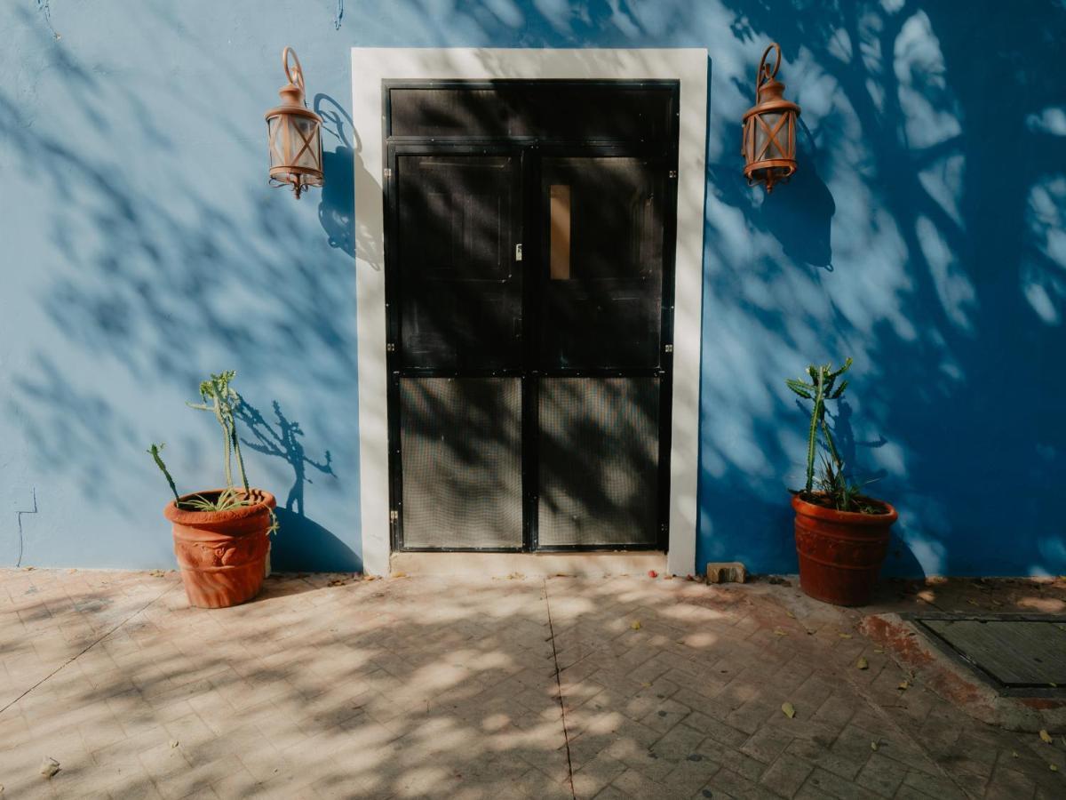 Nido Colibri - Private And Dorms In Remate De Paseo Montejo
