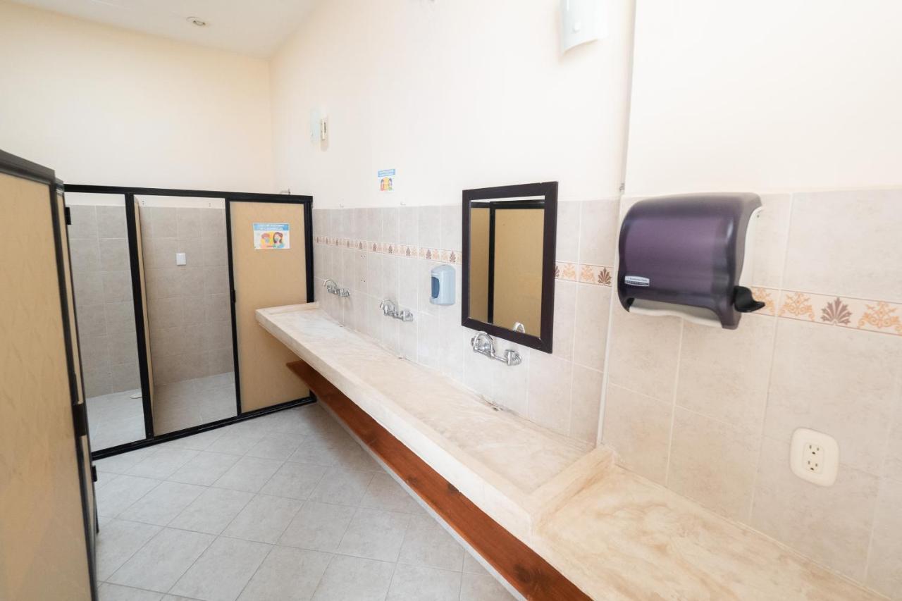 Hotel Nido Colibri - Private And Dorms In Remate De Paseo Montejo