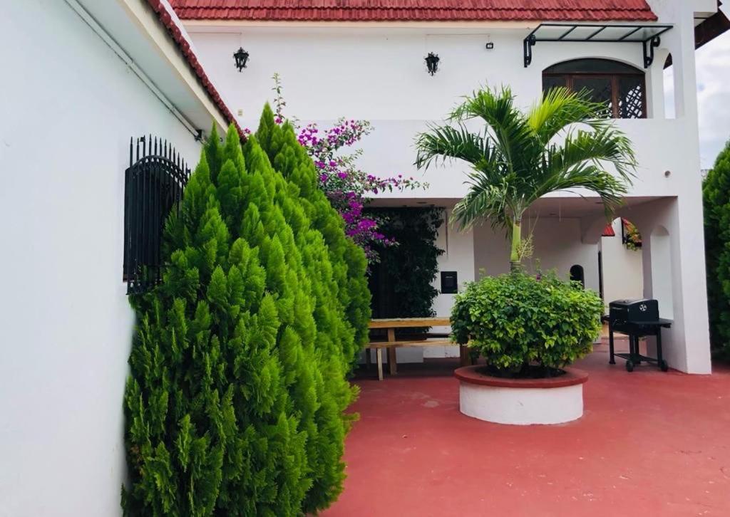 Bugambilia Colonial Charm With Spacious Design And Private Pool Five Minutes From Downtown * Mérida