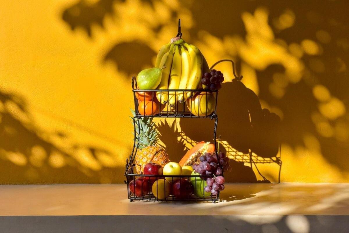 K An Nah Diseno Tropical Inspirado En El Jaguar Holiday home Merida