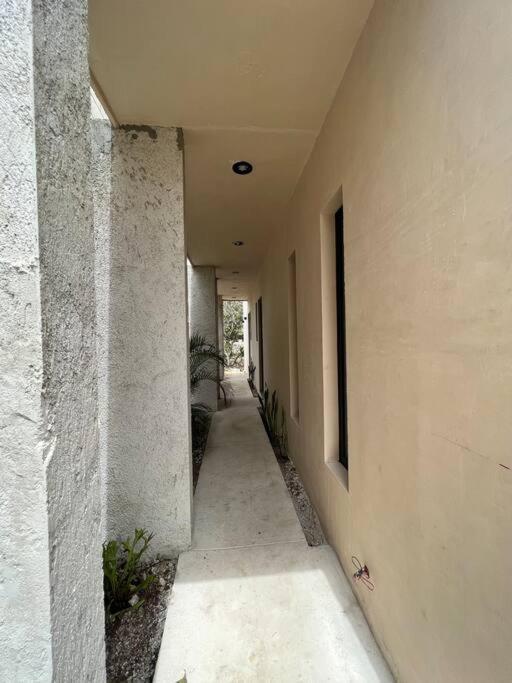 Casa Soco * Mérida
