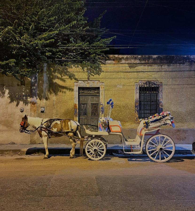 Casa Aurora Merida, Centro Historico * Mérida