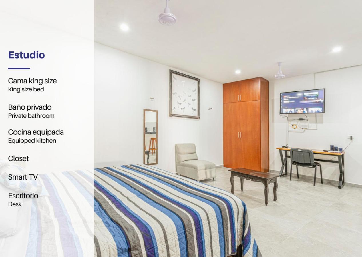 Hostpal Estudio Zona Centro