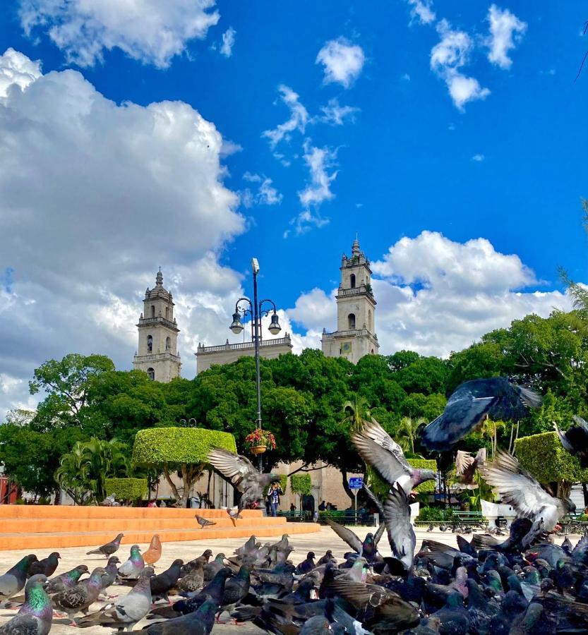 Casa Colonial González Pensión *