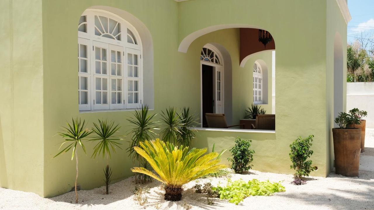 Consentido Tamarindo * Mérida