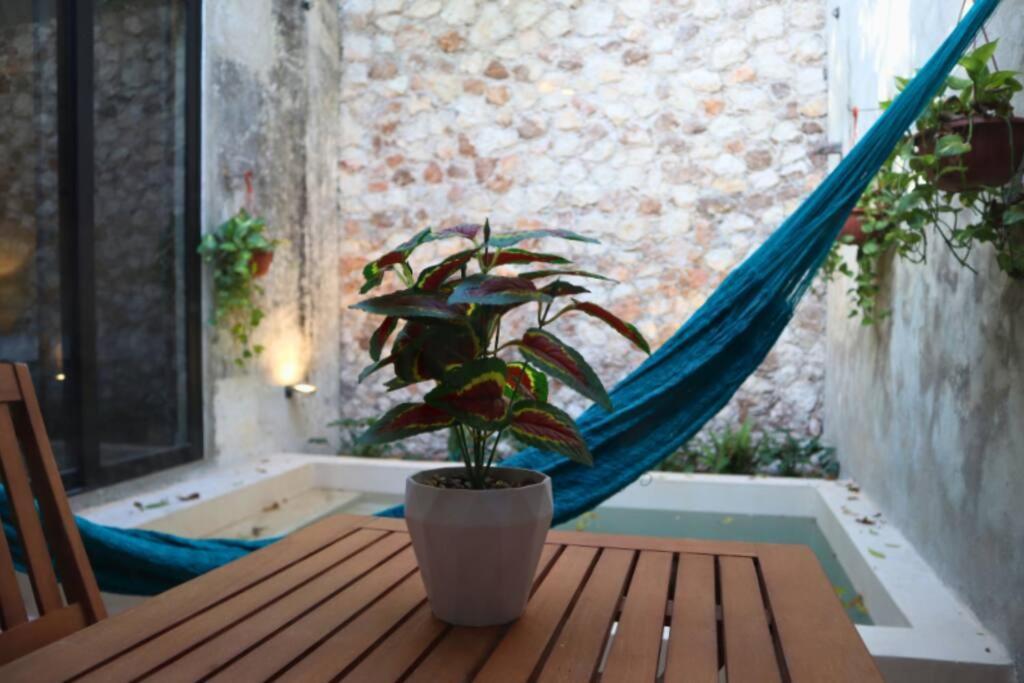 Сasa de vacaciones Casa Coco *