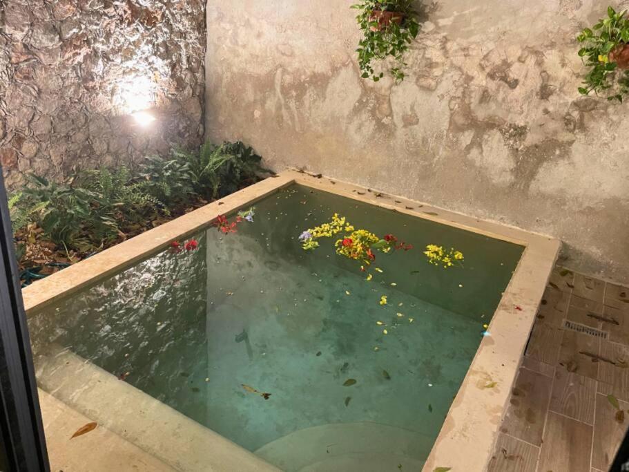 Сasa de vacaciones Casa Coco *
