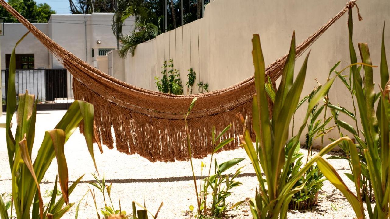 Consentido Tamarindo *