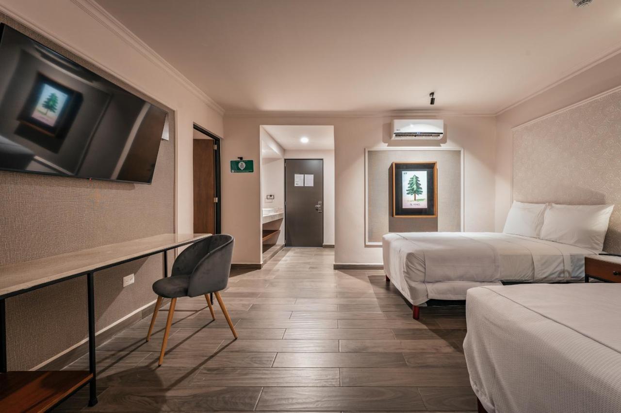 Mid Project Hotel Merida