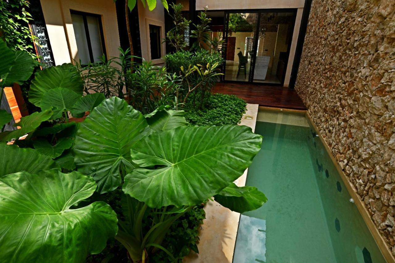 Bed & Breakfast Casa Boutique Pasha