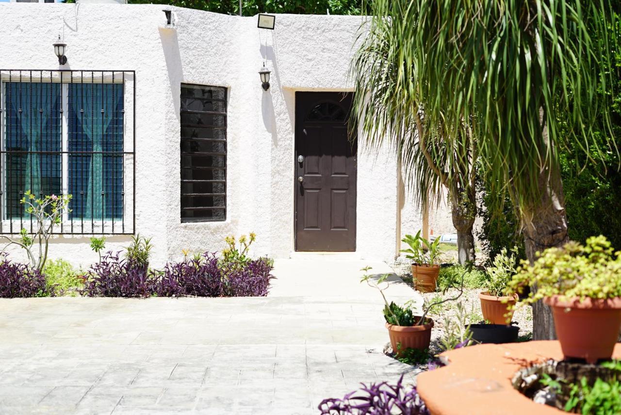 Casa Avocado, En Garcia Gineres *
