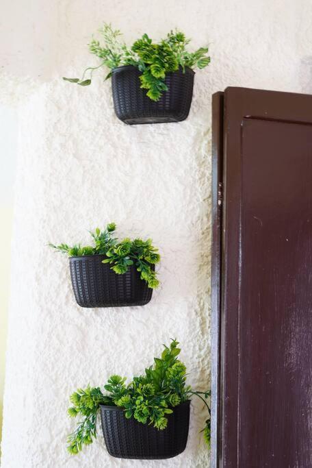 Сasa de vacaciones Casa Avocado, En Garcia Gineres