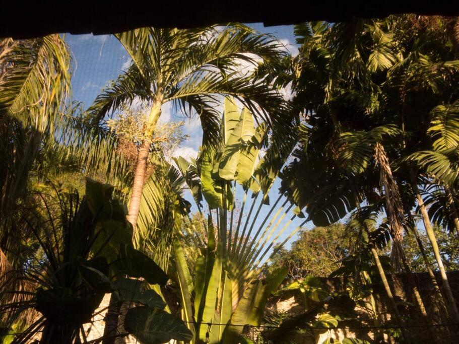 Casa Paraiso De Las Tortugas Yucatan Centro *