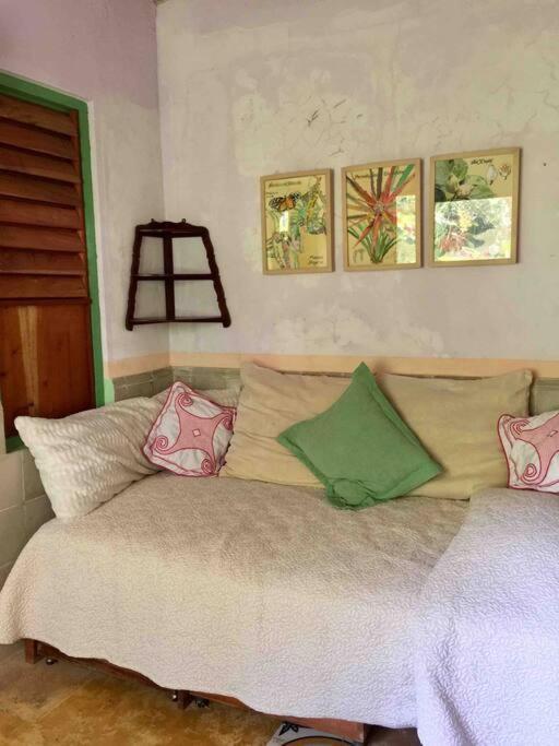 Casa Paraiso De Las Tortugas Yucatan Centro Villa Mérida