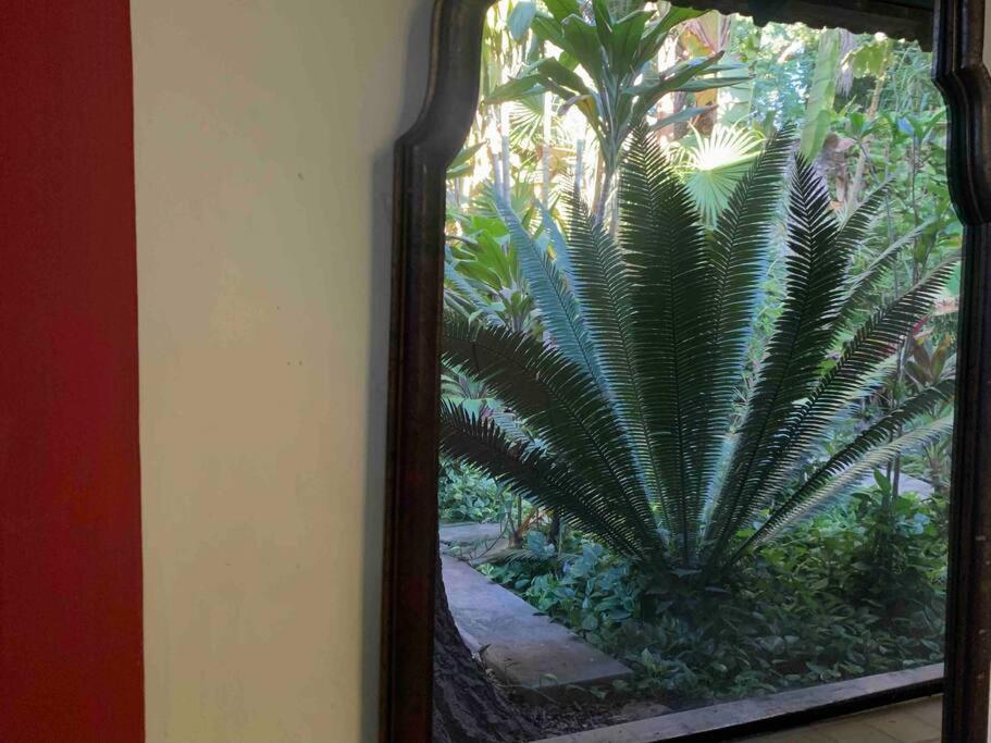 Casa Paraiso De Las Tortugas Yucatan Centro Mérida