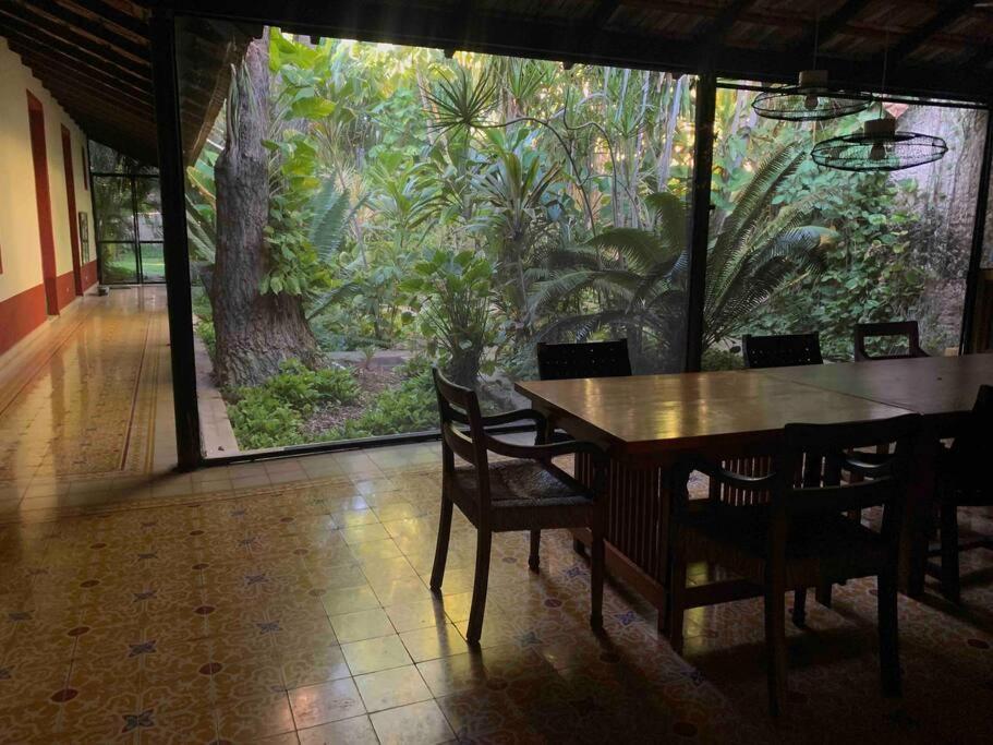 Casa Paraiso De Las Tortugas Yucatan Centro *