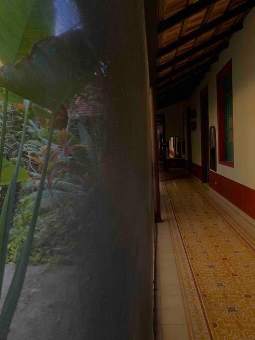 Villa Casa Paraiso De Las Tortugas Yucatan Centro *