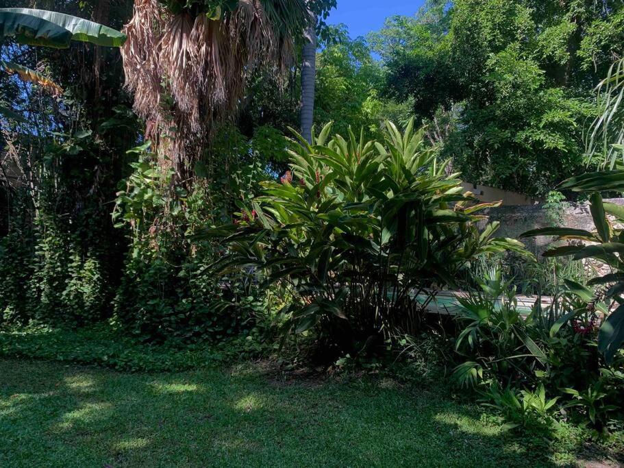 Villa Casa Paraiso De Las Tortugas Yucatan Centro *