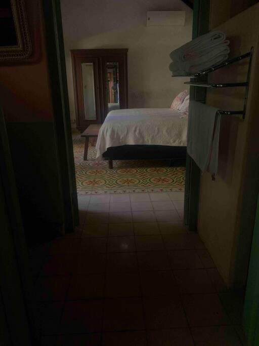 Casa Paraiso De Las Tortugas Yucatan Centro Villa *