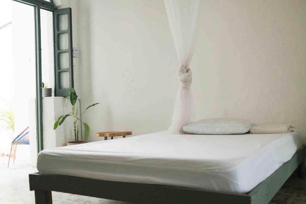 Casa Yucateca Zama En Santiago. Holiday home *