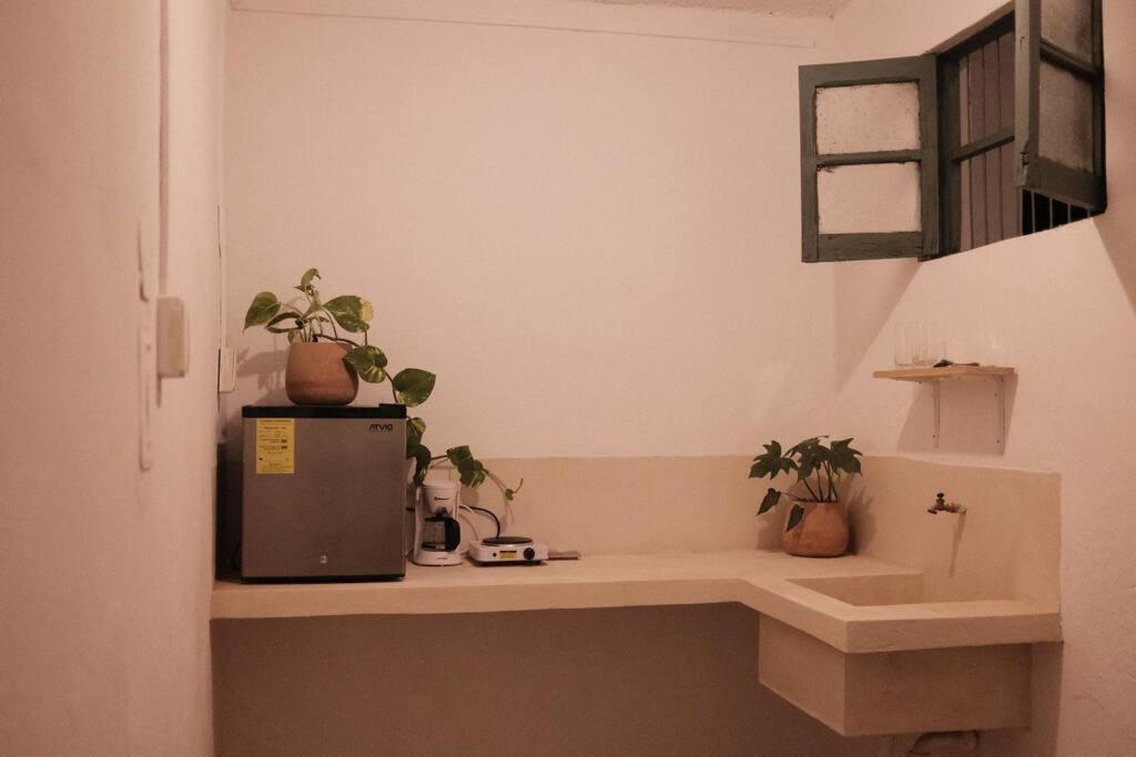 Casa Yucateca Zama En Santiago. Holiday home Merida