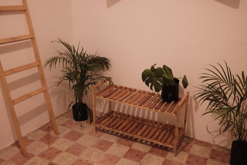 Casa Yucateca Zama En Santiago. Holiday home