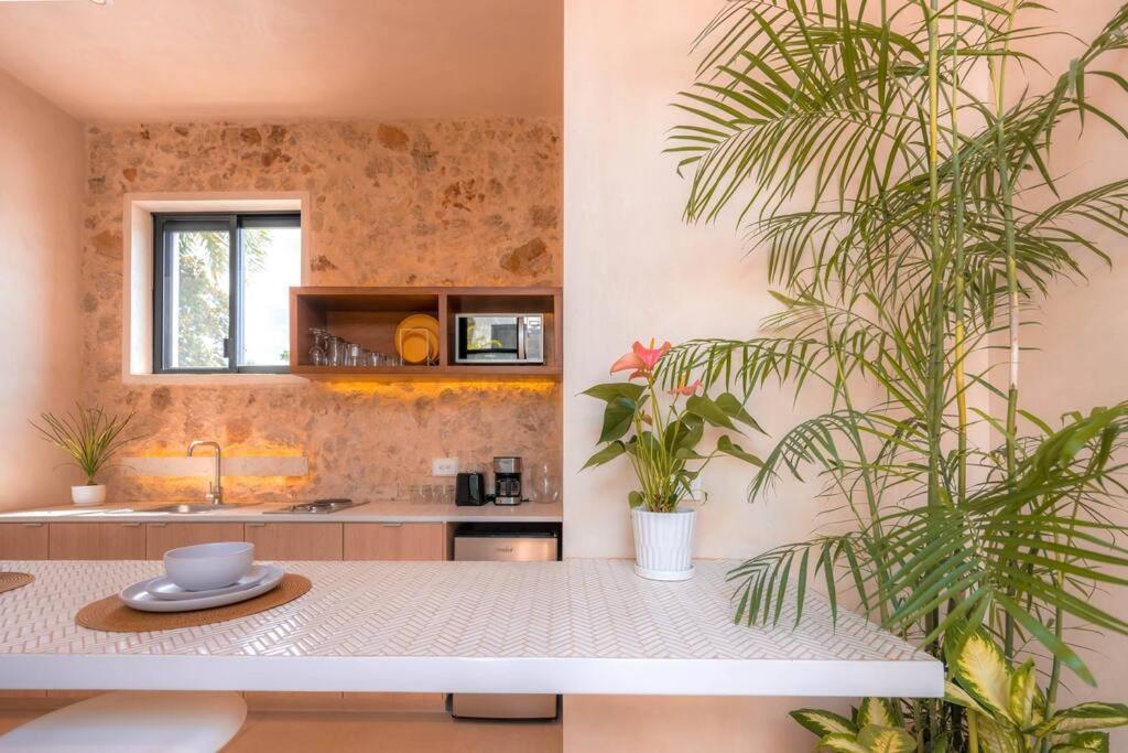 Apartamento Kinal 05 - Mérida