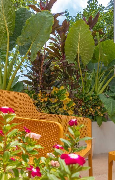 Apartamento Kinal 06 - Mérida