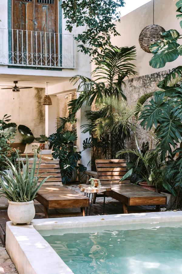 Casa Mezcla -